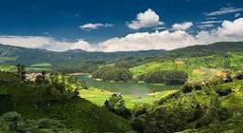Ooty